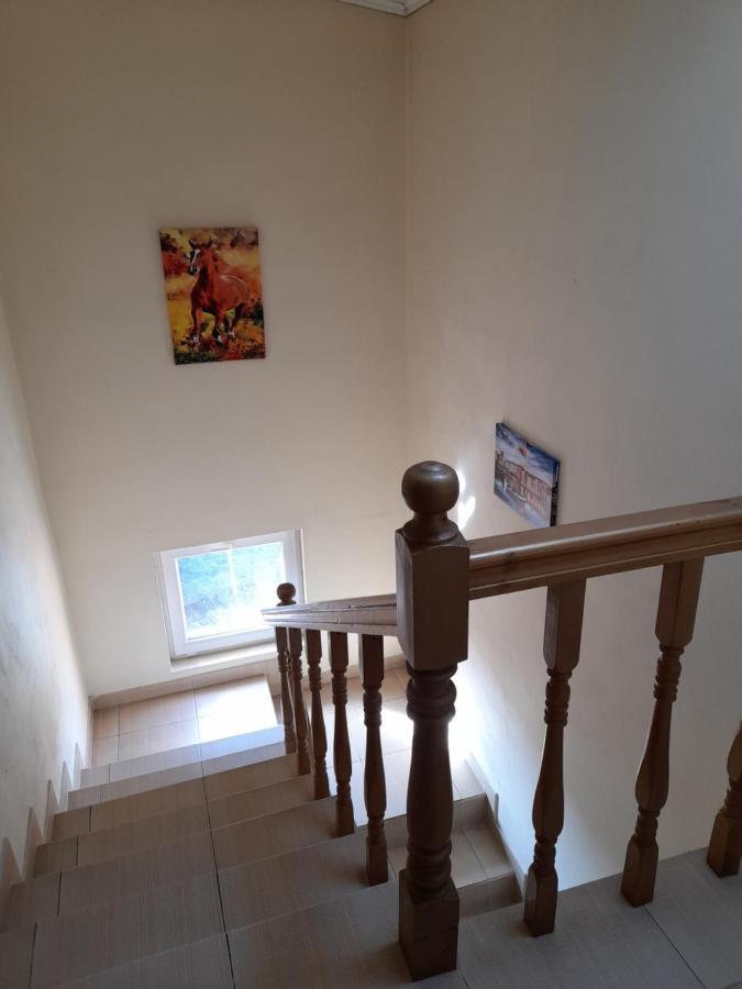 Yana Guest house Dobrinishte